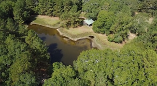 3680 Holly Grove Rd, Livingston, TX 77351