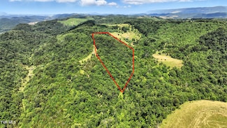 Tbd Rushing Rd, Castlewood, VA 24224