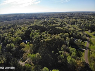 0 Trickhambridge Rd, Brandon, MS 39042