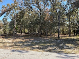 10079 N Ruth Terrace, Citrus Springs, FL 34434