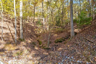 1.14 AC Parker Way, Ellijay, GA 30540