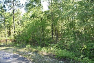 LOT 36 Scarlett Oak Ln, Garfield, GA 30420