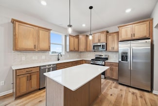 1061 Annagaire Curve, Rosemount, MN 55068