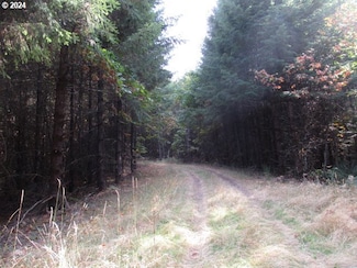 0 NW Crane Ln, Yamhill, OR 97148