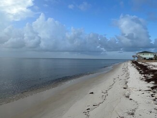 15 Grouper St, Alligator Point, FL 32346
