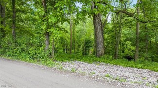 16182 Gunn Rd, Lore City, OH 43755