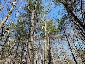 2.02 Acres VL - Knights Bridge, Lakeville, MI 48367