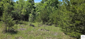 TBD Mulholland Rd Unit Lot 2201, Edwards, MO 65326