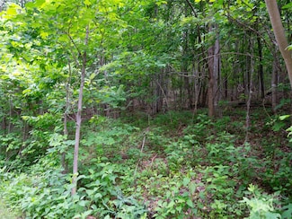 Lot 195 Cherry Hill, Mill Spring, NC 28756