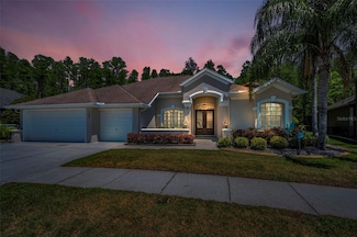 15229 Wind Whisper Dr, Odessa, FL 33556