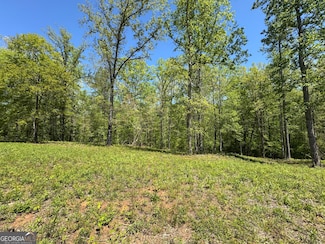 126 Laurel Ridge, Forsyth, GA 31029