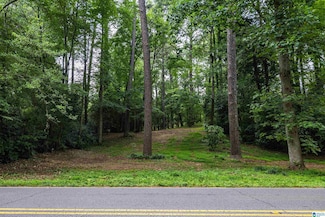 2950 Mountain Brook Pkwy Unit 62, Mountain Brook, AL 35223