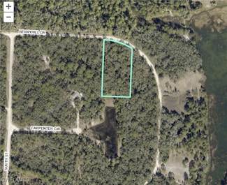 34287 Berryhill Dr, Webster, FL 33597