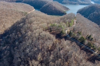 Lot 38 Lanis Rd, Baxter, TN 38544