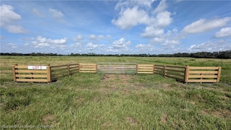 0 Johnston Rd Unit 316172, Zolfo Springs, FL 33890