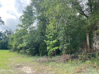 0000 Robins Way Unit 36, Marianna, FL 32446