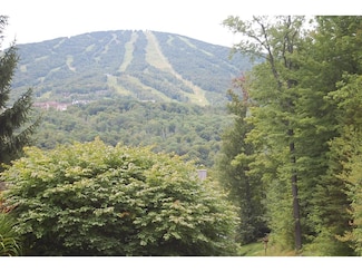 723 Stone House Rd, Winhall, VT 05155