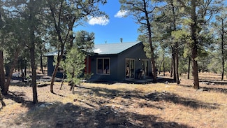 138 El Caso Rd, Quemado, NM 87829