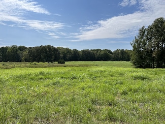 0 Goldston Springs Rd, Puryear, TN 38251
