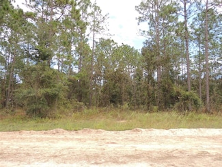 291 NE 135th Ct, Williston Highlands, FL 32696