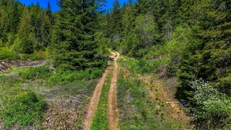 NNA E Deer Lake Way, Loon Lake, WA 99148