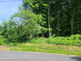 70 Gronczniak Rd, Stillwater, NY 12170