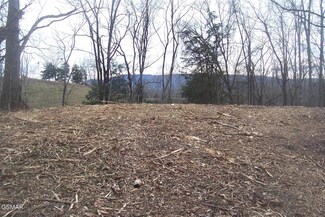 058 011.04 Chapman Hwy, Seymour, TN 37865