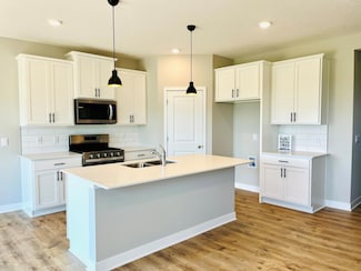 8337 Brumby Trail, Woodbury, MN 55129