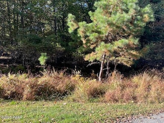 Lot 250 Squirrel Rd, Delaware Township, PA 18328