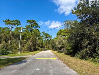 Lot 7 Chinaberry Way, Eustis, FL 32736