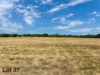 910 Old Oran Rd, Perrin, TX 76082