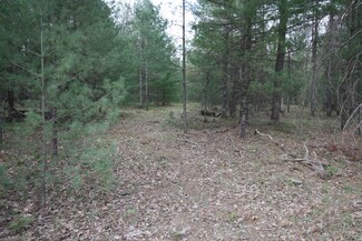 7262 Riverside Dr, Stronach, MI 49660