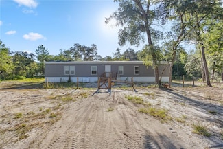 23125 NE 111th Ct, Fort McCoy, FL 32134