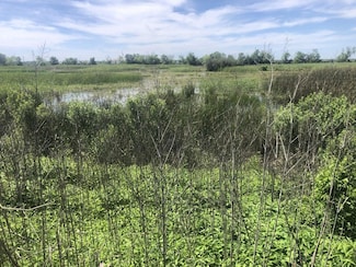 0 County Road 210 Unit 20713020, Danbury, TX 77534