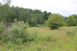 10650 Rogers Rd, Alanson, MI 49706