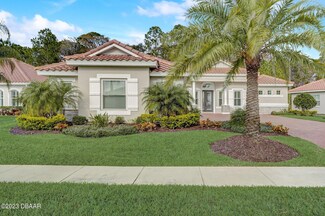 2914 Venetian Lake Dr, New Smyrna Beach, FL 32168