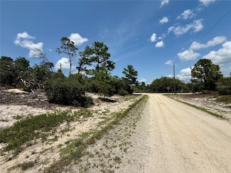 454 Apple Blossom Ct, Lake Placid, FL 33852