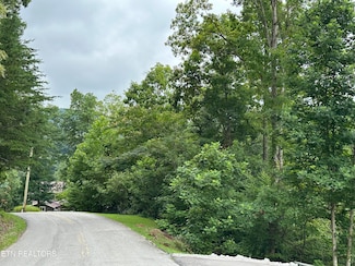 lots 21&22 Ridge Rd, Caryville, TN 37714