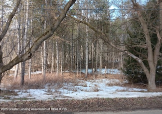 7228 W Beard Rd, Perry, MI 48872