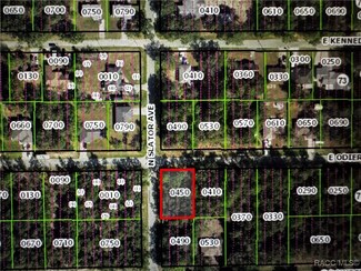 3182 E Odier St, Inverness Highlands North, FL 34453