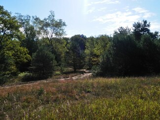0 N Quarterline Rd, Free Soil, MI 49411