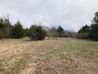 Lot 2 Turtle Tracks Rd, Grant Township, MO 65648