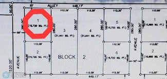 409 Park Ave, Ulen, MN 56585