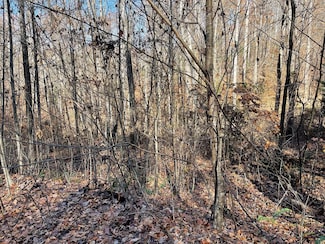 71J Ash Branch Cir, Hayesville, NC 28904