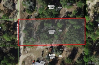 3215 N Chameleon Point, Crystal River, FL 34428