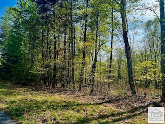 lot 34 Pine Knoll Farms Loop, Patrick Springs, VA 24171