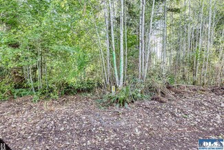 99922 Thomas St, Forks, WA 98331