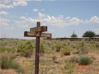 5402 Buffalo Creek, Clint, TX 79836