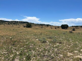 Lot 17 Longhorn Ranch, Model, CO 81059