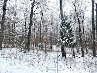 TBD Dogwood Acres Dr, Spice Valley Township, IN 47470